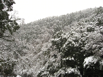 snow_view2.jpg