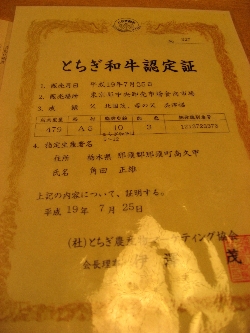 kai_certification2.jpg