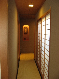 kawasemi9.jpg